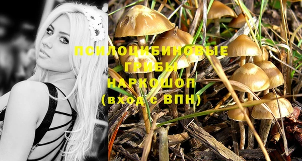 соль курить ск Михайлов