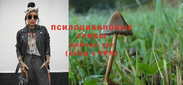 амф Надым