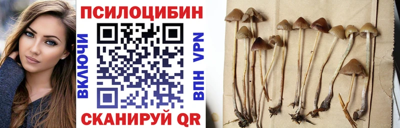 купить наркотик  Калининград  Галлюциногенные грибы мицелий 