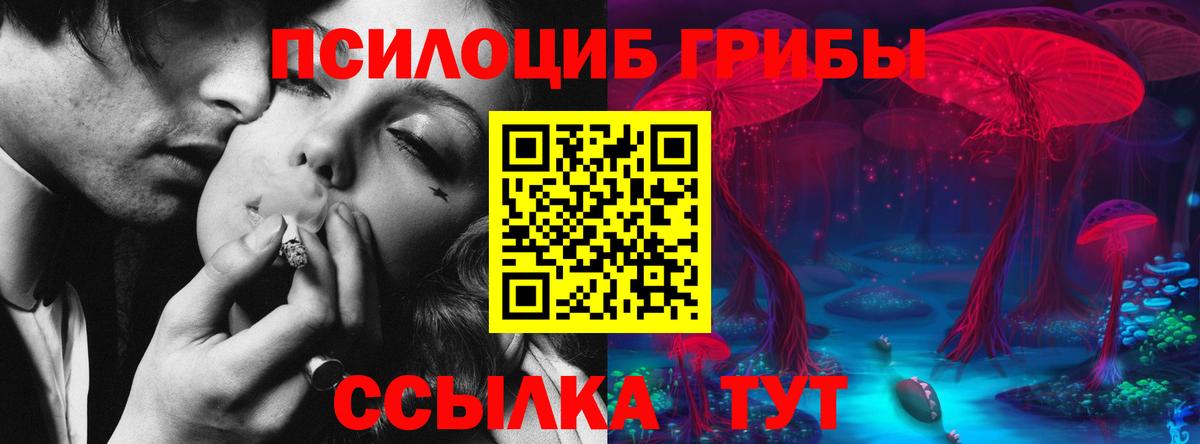 Калининград  Галлюциногенные грибы мухоморы  Вход с VPN  Галлюциногенные грибы Magic Shrooms 