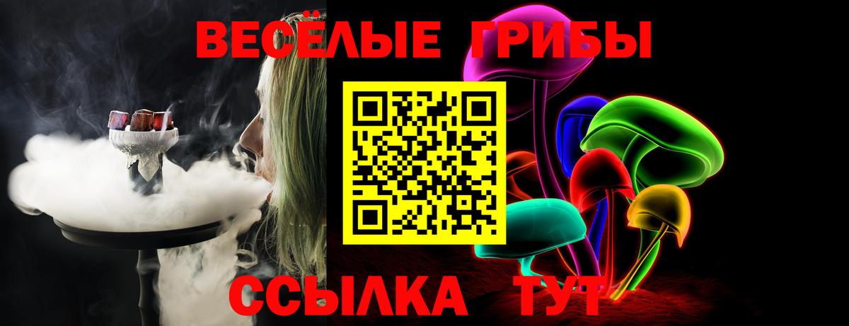 Псилоцибиновые грибы прущие грибы Калининград