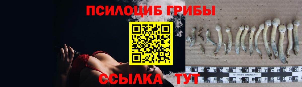 Галлюциногенные грибы GOLDEN TEACHER  Псилоцибиновые грибы GOLDEN TEACHER  Калининград 